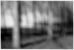 "Brezza" © by Anna Lisa B.