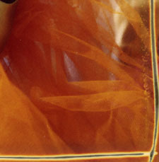 Maschera con velo arancio