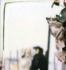 Carnevale di Venezia 2000 - DAMINA