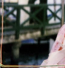 Carnevale di Venezia 2000 - DAMINA