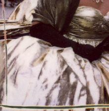 Carnevale di Venezia 2000 - PLATINET
