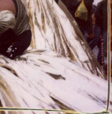 Carnevale di Venezia 2000 - PLATINET