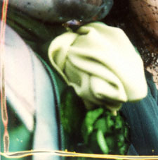 Carnevale di Venezia - Carnival of Venice - Coppia verde