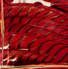 Carnevale di Venezia - Carnival of Venice - Fiocco rosso