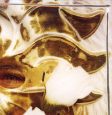 Carnevale di Venezia - Carnival of Venice - Giallo sensuale