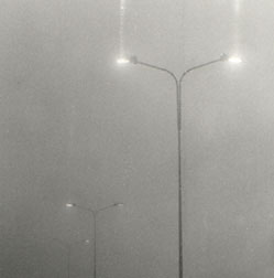 I nuovi paesaggi della nebbia