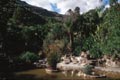 Palmitos Park